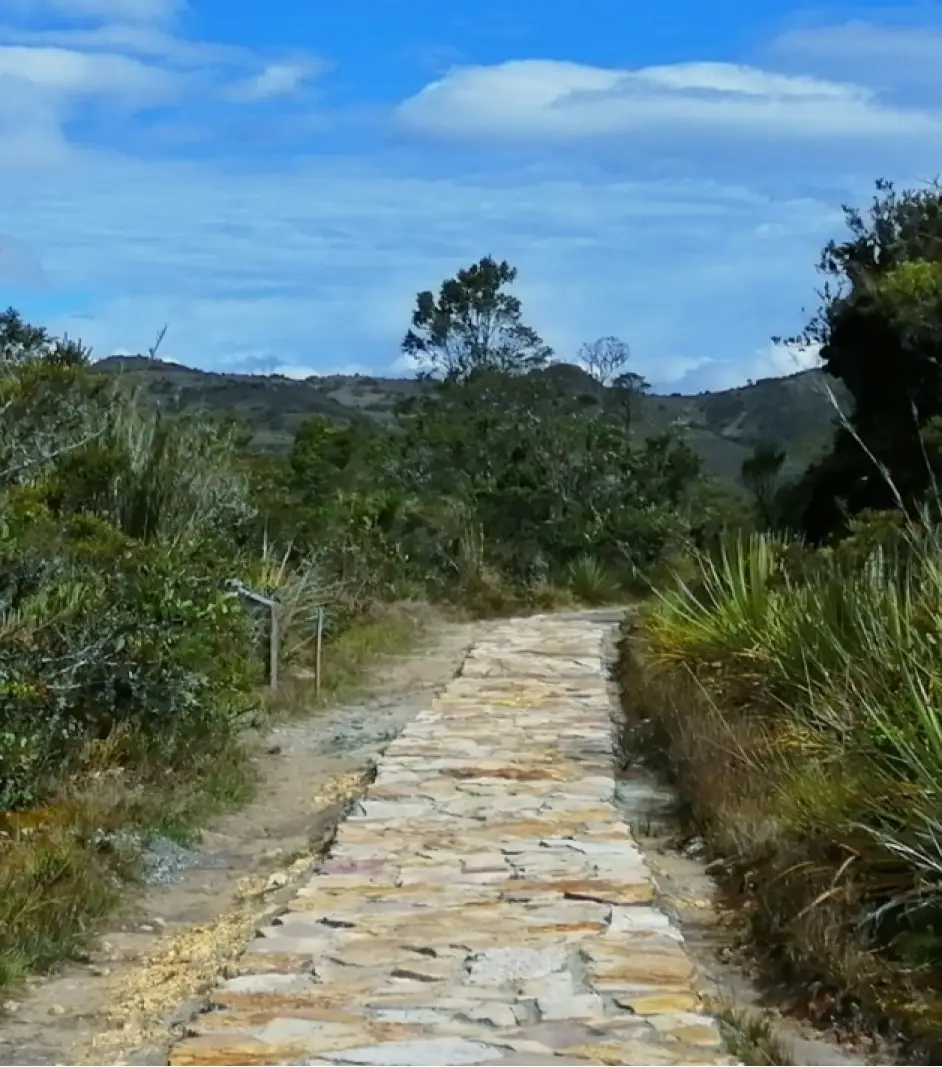 vista de un sendero para el páramo Guacheneque